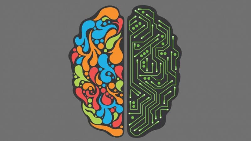 التعلم السريع - الدماغ الأيمن والدماغ الأيسر