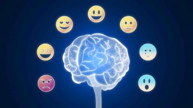 The Traits of Emotional Intelligence