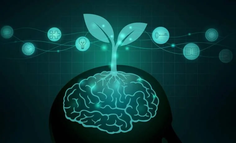 عقلية النمو عقلية النمو