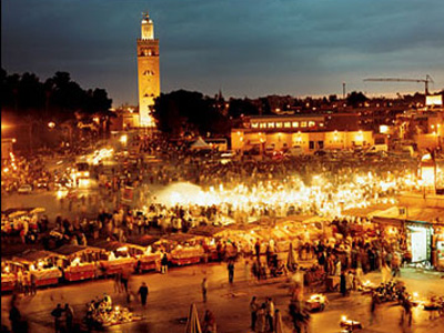المغرب - مراكش: "قصة نجاح"  أول قطفة لغرس مراكش 