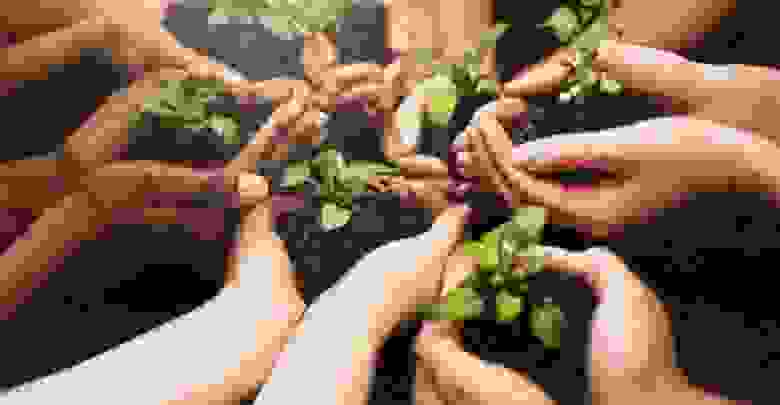 أهمية العمل التطوعي أهمية العمل التطوعي