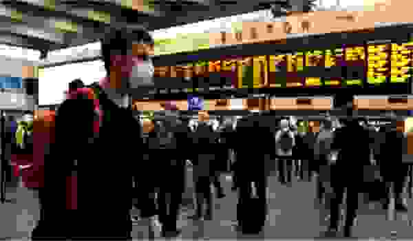 مناعة القطيع