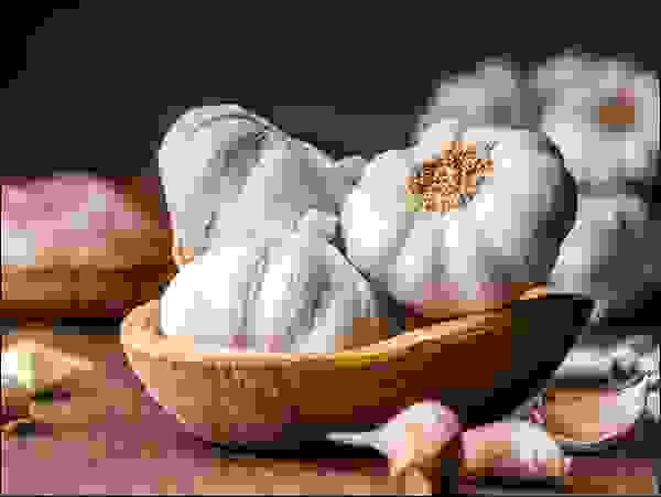 الثوم