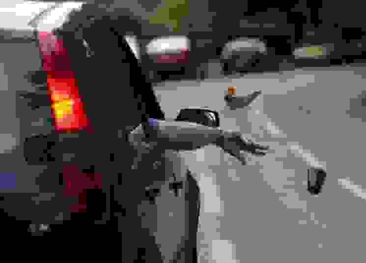 رمي الأوساخ رمي الأوساخ