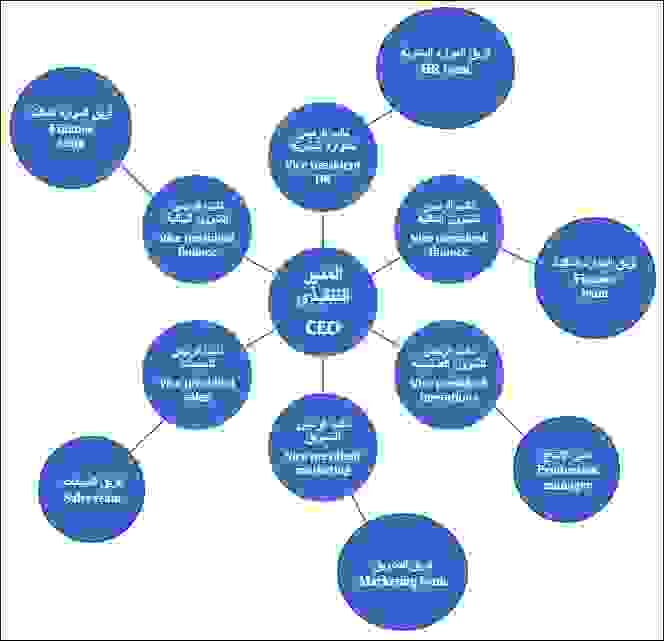 مخطط الفقاعة
