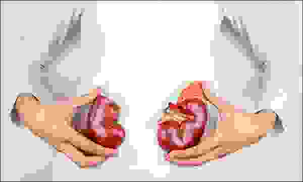 الكليتان الكليتان